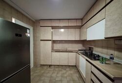 The Cairnhill (D9), Condominium #558345731